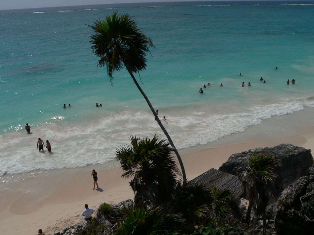 Plaża z palmą